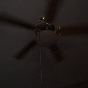 Meet your Posher, Terri-lynn